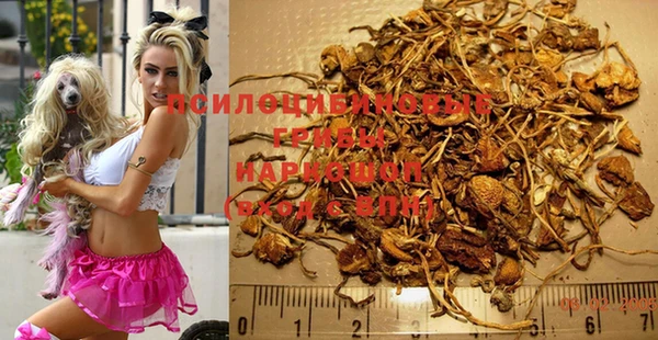прущие крисы Алексеевка