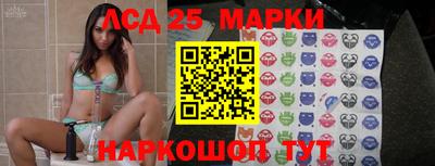 индика Гудермес