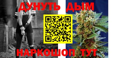 сатива Гулькевичи