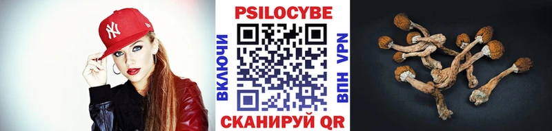 купить закладку  Краснокамск  Галлюциногенные грибы прущие грибы 