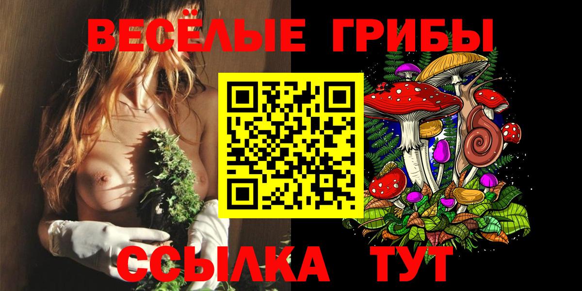 Краснокамск  хочу   Вход с VPN  Псилоцибиновые грибы Psilocybine cubensis  Галлюциногенные грибы GOLDEN TEACHER 